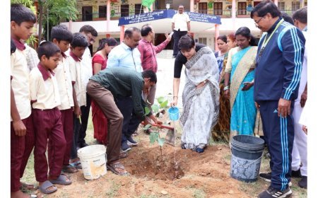 Sowing Seeds of Health and Knowledge: Hyderabad’s School Gardens – An Inspiration for All India